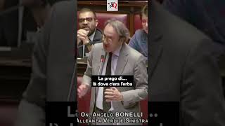 DECRETO SALVA-MILANO #BONELLI CANTA IN AULA E CITA #CELENTANO #news #shorts