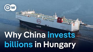 Behind China&#39;s massive bet on Hungary | DW Business