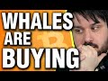 Whales Are Buying Bitcoin Under $50k – Here’s Why