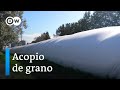 Agricultores argentinos se niegan a exportar su soja