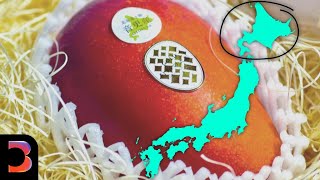 SUSHI Hokkaido’s Luxury Travel Finds: Onsen Mango, Snow, Sushi