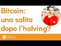 Bitcoin: potrebbe esserci una salita dopo l'halving?