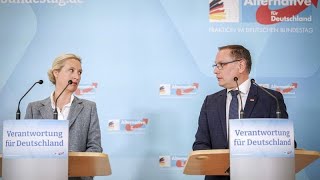 Germania: Afd lancia la campagna elettorale, ma Krah è assente
