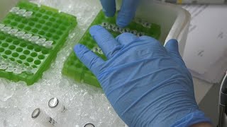 S&U PLC [CBOE] Verso un vaccino basato su nanoparticelle per il trattamento del cancro?