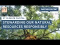 The paper trail: stewarding our natural resources responsibly | FT Climate Capital