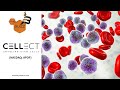 CELLECT BIOTECHNOLOGY - “The Buzz'' Show: Cellect Biotechnology Ltd. (NASDAQ: APOP) ApoGraft Transplantation in U.S. Patient