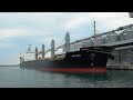 Mar Nero, le rotte alternative delle navi ucraine cariche di grano