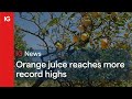 Orange juice reaches more record highs 🍊