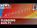 Monsanto fined $12 million for flouting environmental laws