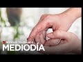 Lo que debe saber sobre Candida auris, el hongo mortal que causa que se ha multiplicado en el país