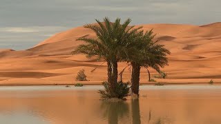 Marocco, le piogge ridanno vita a un lago nel Sahara