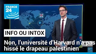 Non, l’université d’Harvard n’a pas hissé le drapeau palestinien • FRANCE 24