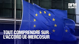 Tout comprendre sur l&#39;accord UE-Mercosur