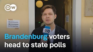 Social Democrats and far-right AfD neck-and-neck in Brandenburg polls | DW News