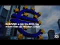 EUR/USD: a risk the ECB may move rates up another 25bps