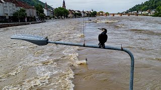 Alluvioni in Europa: ricerche in corso per Cristian Molnar in Italia, ancora emergenza in Germania