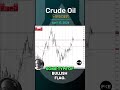 Crude Oil Forecast and Technical Analysis April 15, 2024 by Chris Lewis  #crudeoil #WTIoil #brentoil