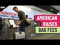 AMERICAN AIRLINES GRP - American Airlines hikes luggage charge - How much airlines made off of checked bags in 2023
