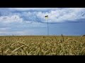 Ucraina, il grano bloccato e i timori di aziende e agricolatori
