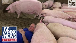California law upheld by SCOTUS will ruin pork farmers’ businesses: Dwight Mogler