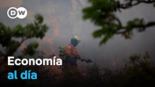 Los incendios merman la cosecha de café en Brasil