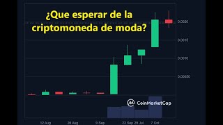 ¿Que esperar de la #criptomoneda de moda?