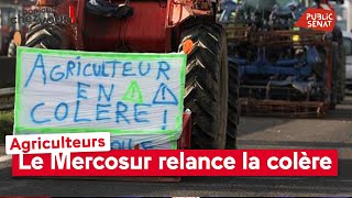 Agriculteurs : le Mercosur relance la colère