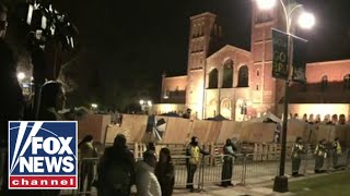 Live: Police dismantle UCLA encampment, move in to arrest protesters