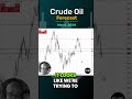 Crude Oil Forecast and Technical Analysis for May 6 2024 by Chris Lewis  #crudeoil #WTIoil #brentoil