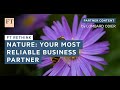 Nature: Your Most Reliable Business Partner | FT Rethink
