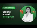USD/CAD - Technical Analysis: 23/02/2024 – USDCAD uptrend loses power