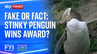 Fake or Fact: Stinky penguin wins award?