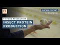How insect farming is providing sustainable feed for chickens | FT Food Revolution