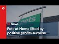 PETS AT HOME GRP. ORD 1P - Pets at Home lifted by positive profits surprise