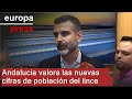 Junta de Andalucía cree "magnífica noticia" las nuevas cifras de población del lince