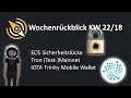 EOS Sicherheitslücke | TRON (Test-) Mainnet | IOTA Trinity Mobile Wallet | KW 22/18