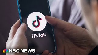 TikTok files lawsuit against U.S. government calling potential ban unconstitutional
