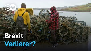 Sind Schottlands Fischer Brexit-Verlierer? | Fokus Europa