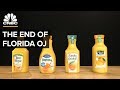 Why Most Orange Juice Comes From Brazil, Not Florida | CNBC