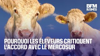 Pourquoi les éleveurs critiquent l&#39;accord avec le Mercosur