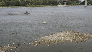 Grave siccità in Europa: laghi prosciugati in Bosnia, ai minimi storici il più lungo fiume polacco