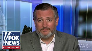 Ted Cruz: Democrats are &#39;laying out the red carpet&#39; for terrorists