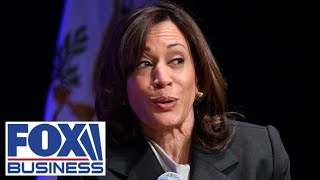 &#39;DISASTER&#39;: GOP rep grills Kamala Harris&#39; small business proposal