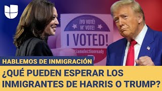 Deportaciones masivas de Trump y planes de Harris para los inmigrantes: Hablemos de Inmigración