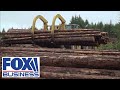 LUMBER - The grit and dedication in lumber production