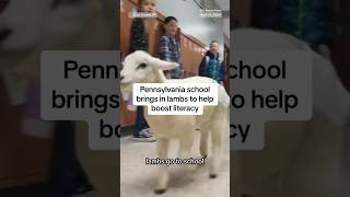 Pennsylvania school brings in lambs to boost literacy