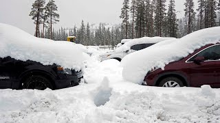 EN VIVO: Una tormenta invernal afecta el Noreste de EE.UU.