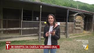 RA INTERNATIONAL GRP. ORD 10P Casola Valsenio (RA), dove si combatte ancora con le frane: &quot;Quando le pecore pascoleranno di ...