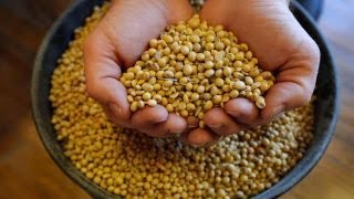 SOYBEAN Impact of tariffs on America's soybean farmers
