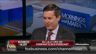 ELI LILLY AND CO. Eli Lilly CEO on drug prices: Patients are paying too much out-of-pocket costs
